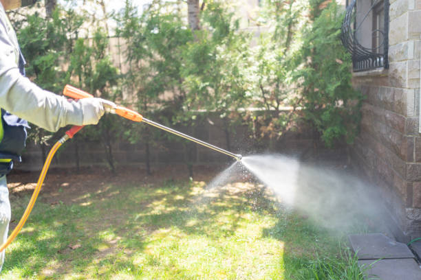Best Mosquito Control Services  in East York, PA