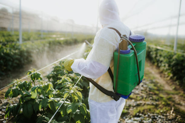 Best Bed Bug Extermination  in East York, PA